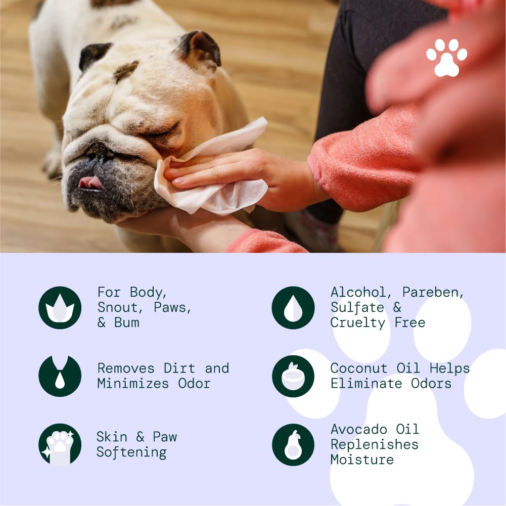 Aloh Hypoallergenic | All-Natural | Multi-Purpose Pet Wipes. Lavender + Wild Mint 50Ct Wipes