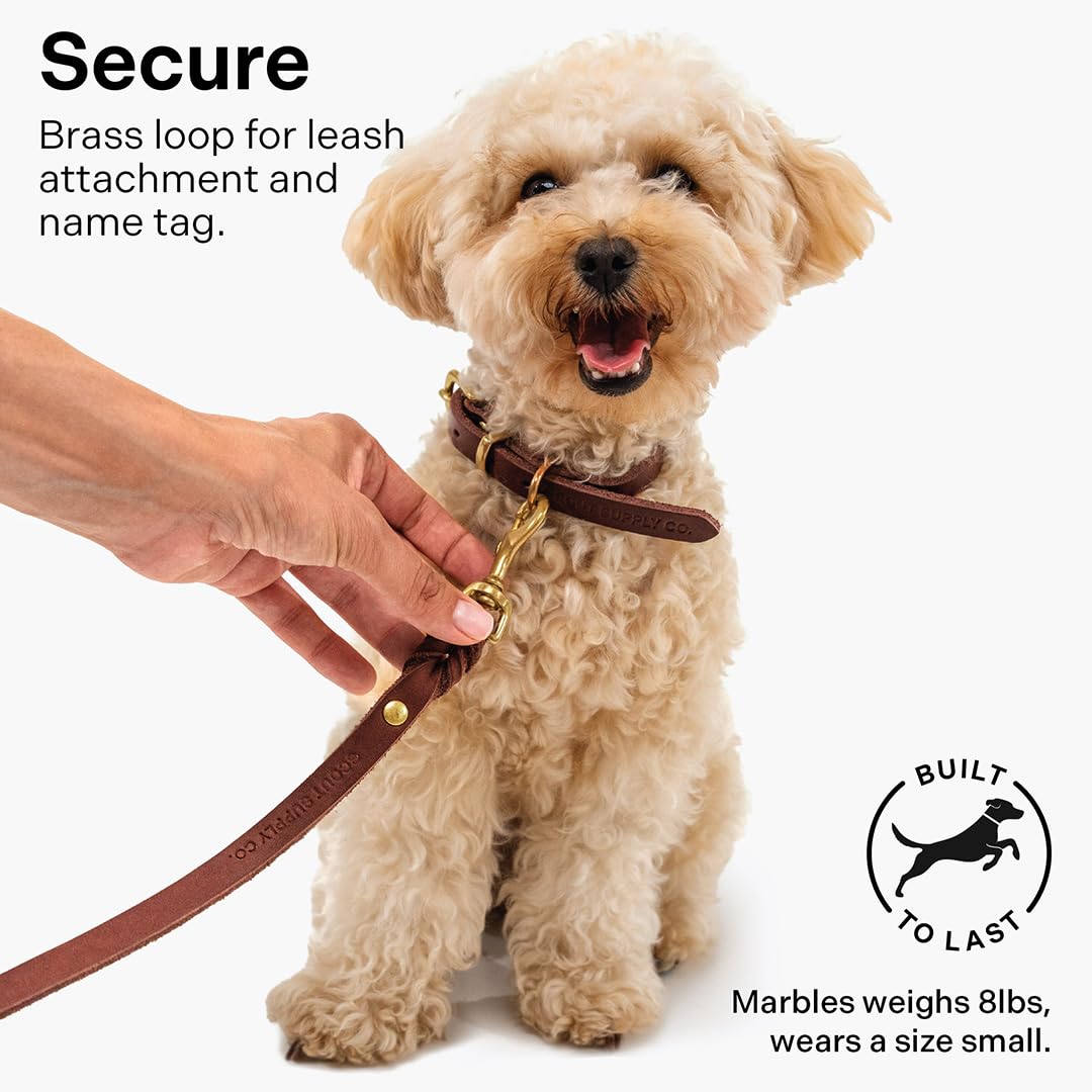 Classic Genuine Leather Dog Collar | Dog Collars For Medium Dogs, Small Dogs, Large Dogs & Extra Large Dog | Wide Dog Collar | H