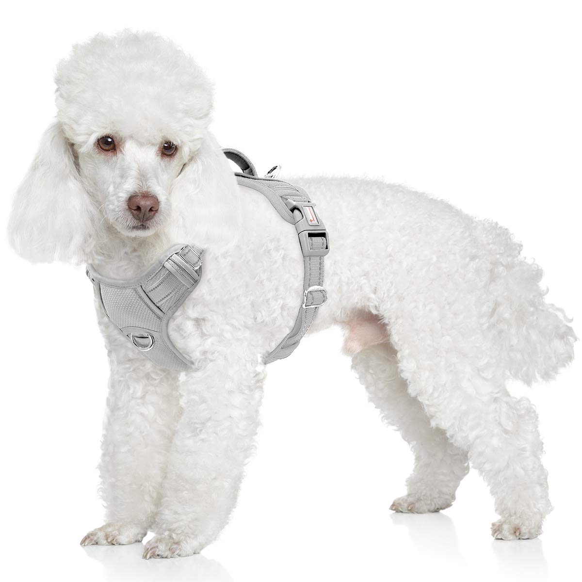 Barkbay No Pull Dog Harness Front Clip Heavy Duty Reflective Easy Control Handle For Large Dog Walking With Id Tag Pocket(Grey,S)