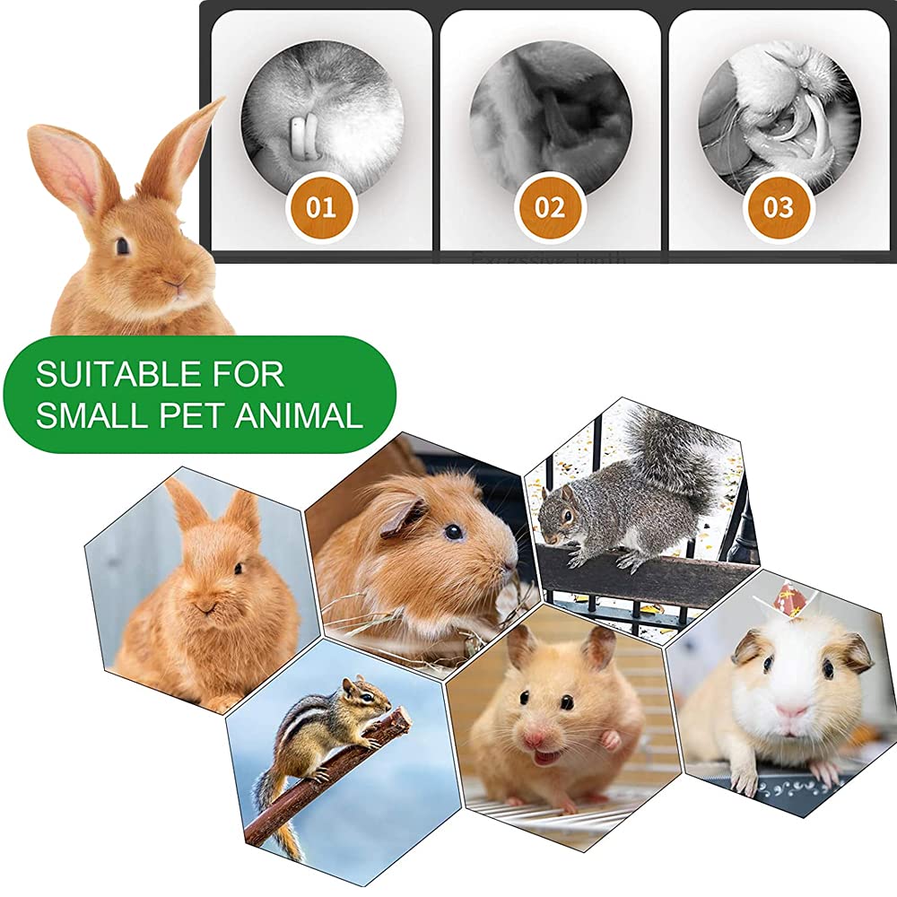 Dbeans Flourithing Rabbit Toys, 3 Types Natural Hamster Chew Toys For Teeth Grinding, Improve Dental Health, Best Bunny Toys For Rabbits, Guinea Pigs, Chinchillas, Hamsters