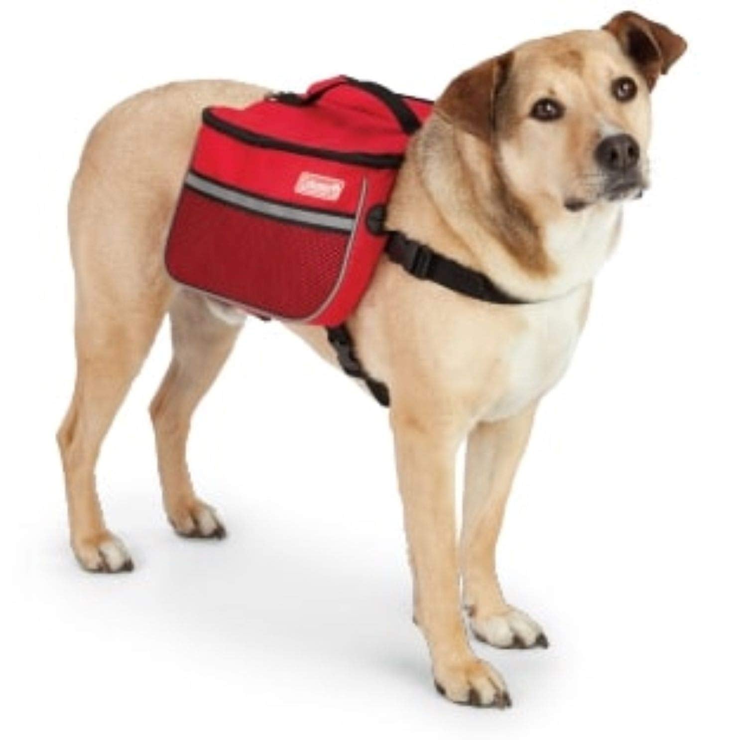 Coleman Dog Backpack Saddle with Leash Ring and Lift Strap - Hound Pack, Travel Gear, Hiking Pouch, and Camping Accessory for Do
