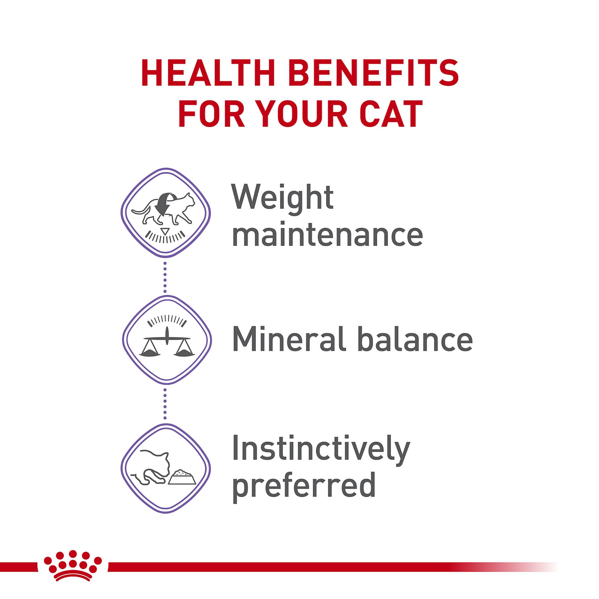 Royal Canin Feline Health Nutrition Spayed/Neutered Thin Slices In Gravy Canned Cat Food, 3 oz can (24-count)