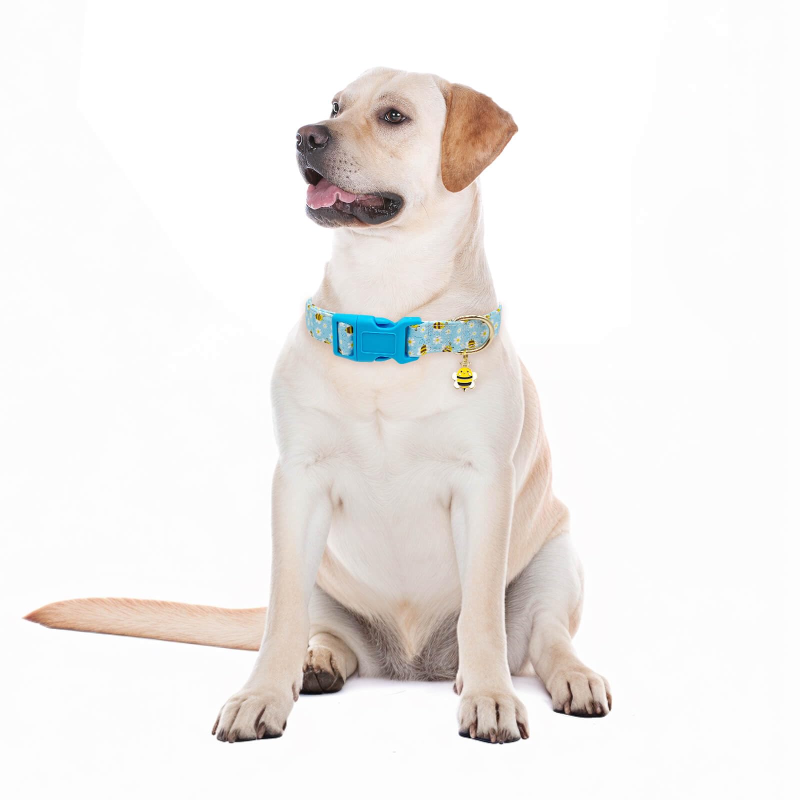 Gelwoo Dog Collars With Buckle Adjustable For Cute Girl Female Boy Dogs,Special Soft And Fancy Dog Pet Collar With Bee Design Fo