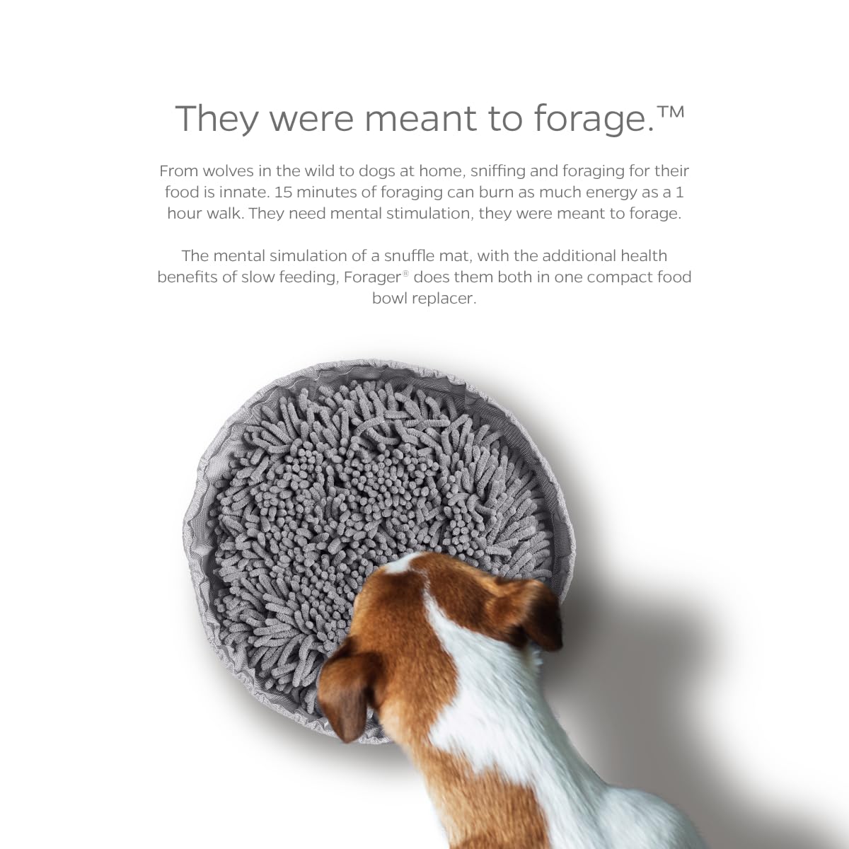 Pet Parents Forager Bowls, Slow Feeder Dog Bowls with SoftSnout & Non-Slip Backing Technology, Dog Feeder Mat & Snuffle Mat for