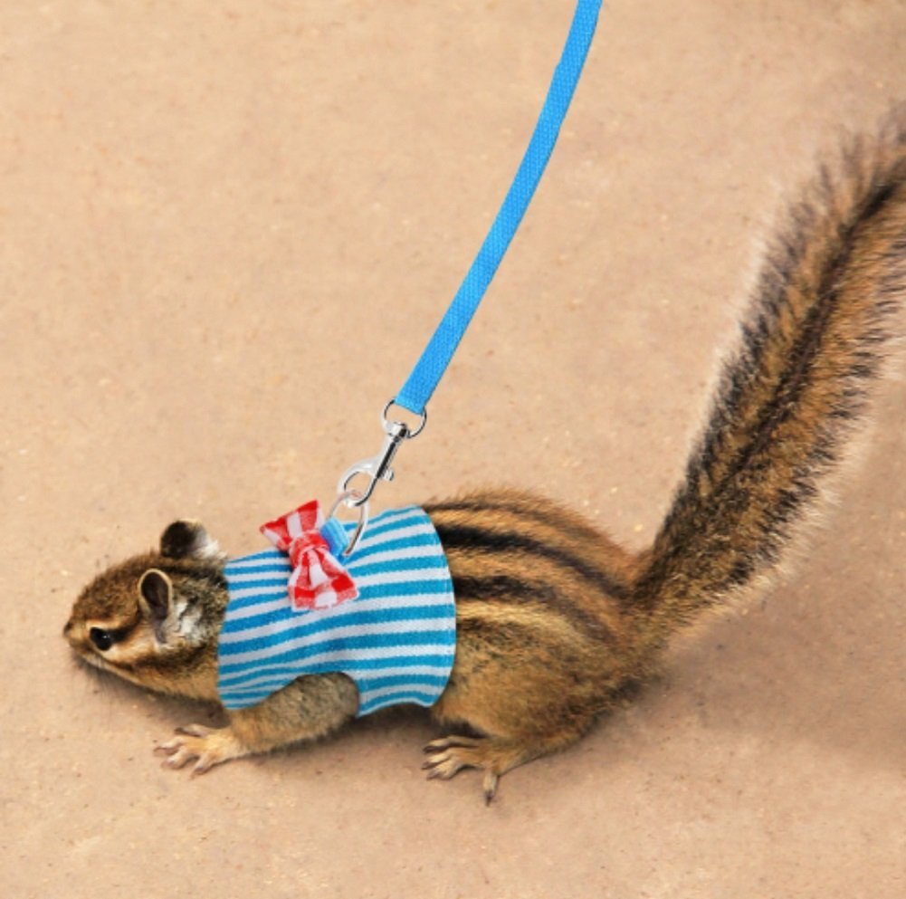 Stock Show Small Pet Outdoor Walking Harness Vest And Leash Set With Cute Bowknot Decor Chest Strap Harness For Rat Ferret Squirrel Hamster Clothes Accessory, Blue Stripe