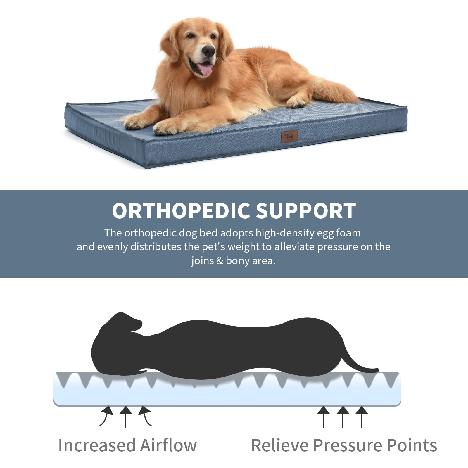 Tail Stories Medium Dog Bed For Medium/Small Dogs, Orthopedic Dog Beds With Removable Washable Waterproof Cover, Egg Crate Foam Pet Bed Mat, Blue