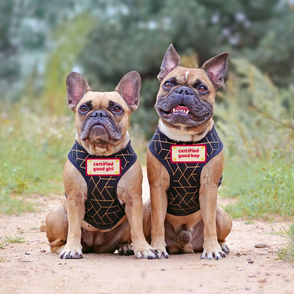 Certified Good Boy Girl Dog Harness Patches | Hoop & Loop Funny Cute Dogs Patch For Removable Vest Collar Tactical Working Moral