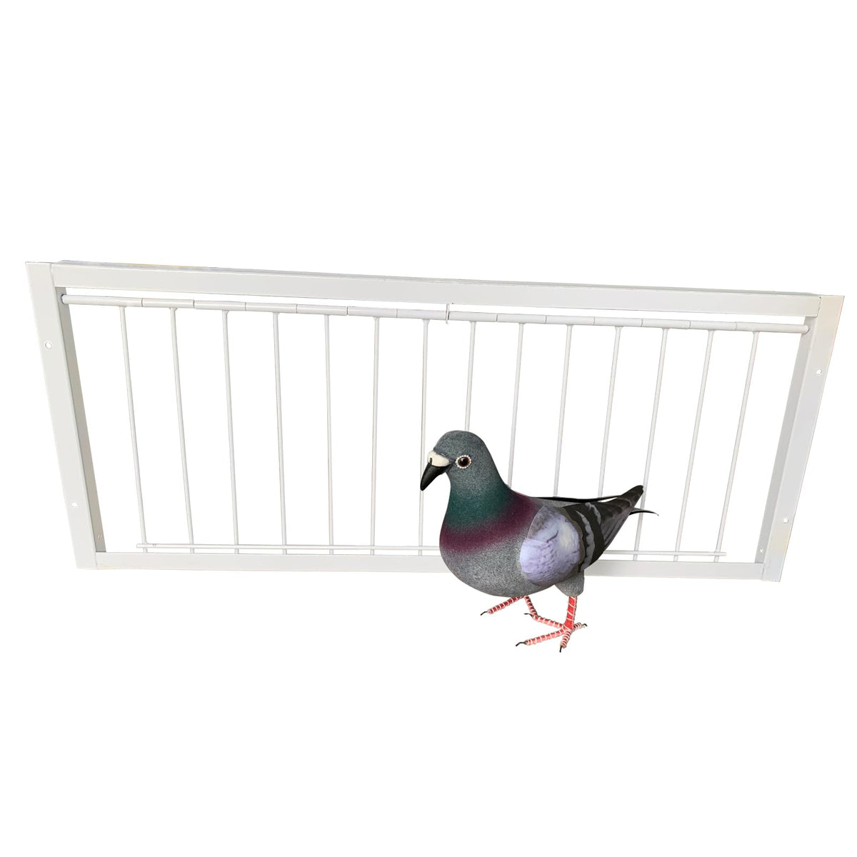Pigeon Loft Door Pigeon Entrance Door Trap Door Pigeon House Door Racing Supplies Pet Bird Supply Product Bird Cage Door (50Cm/2