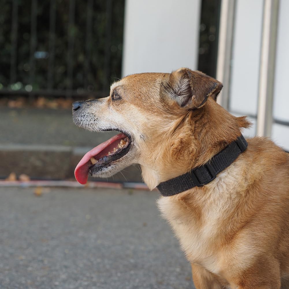 Penseepet Dog Collar Black Basic Adjustable Dog Collars With Breathable Quick Release Nylon Pet Collar For Puppy Small Medium La