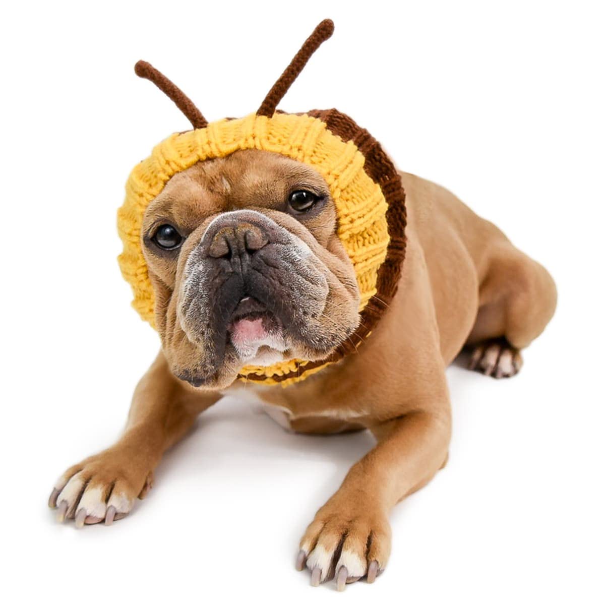 Zoo Snoods Bee Costume for Dogs, Large - Warm No Flap Ear Wrap Hood for Pets, Bumblebee Dog Outfit for Winters, Halloween, Chris