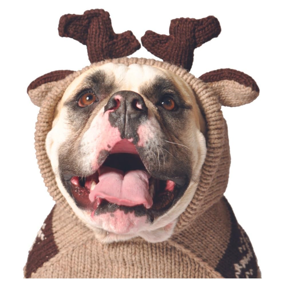Chilly Dog Moosey Hoodie (Large)