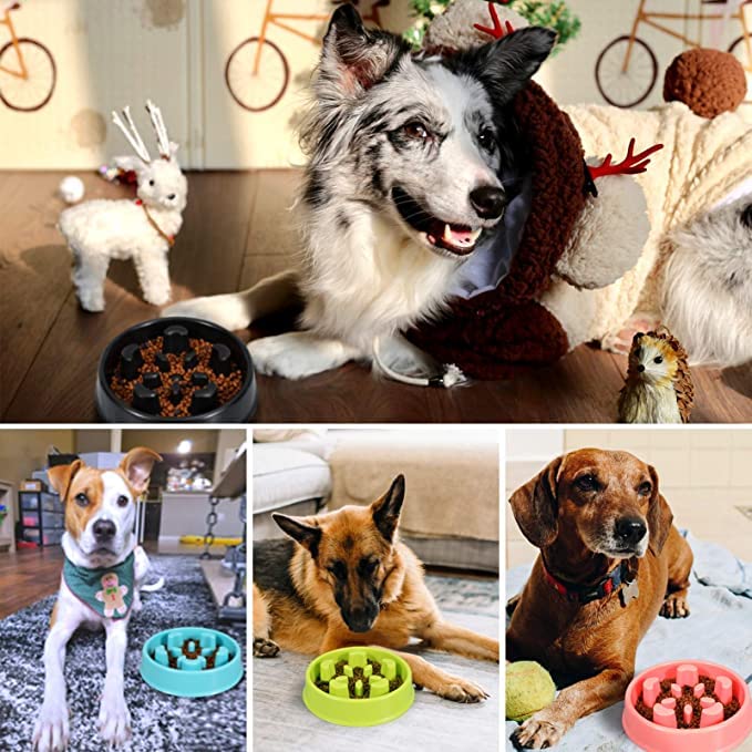 Sripet Slow Feeder Dog Bowls, AntiGulping Dog Puzzle Bowl, Feeder Bowl NonToxic Bloat Stop Dog Bowls For Small/Medium Dogs, Pi