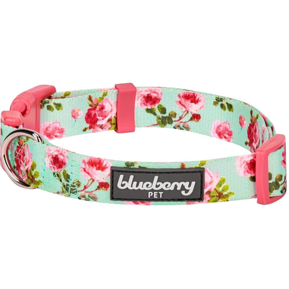 Blueberry Pet 7 Patterns Spring Scent Inspired Floral Rose Print Turquoise Adjustable Dog Collar, Small, Neck 12'-16'