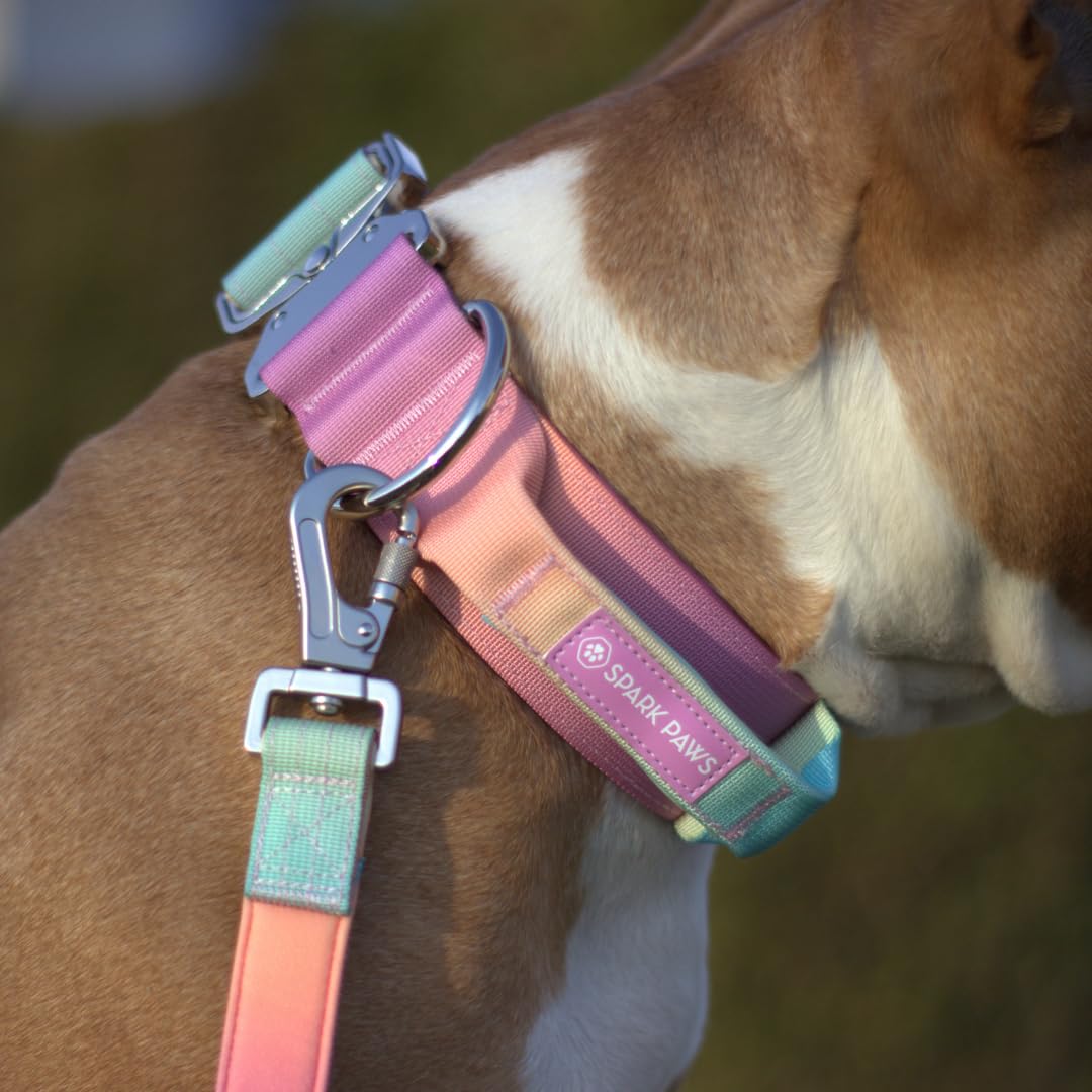 Spark Paws Tactical Dog Collar With Handle - Premium Quality Collar, Robust And Durable Design For Large, Strong Breeds - Pitbul