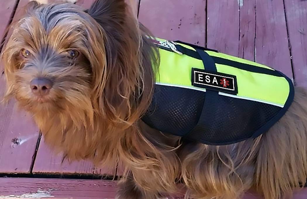 Dogline Emotional Support Animal Patch For Dog Harness And Vest Esa Removable 3D Rubber Patches Hook Backing For Small Or Large