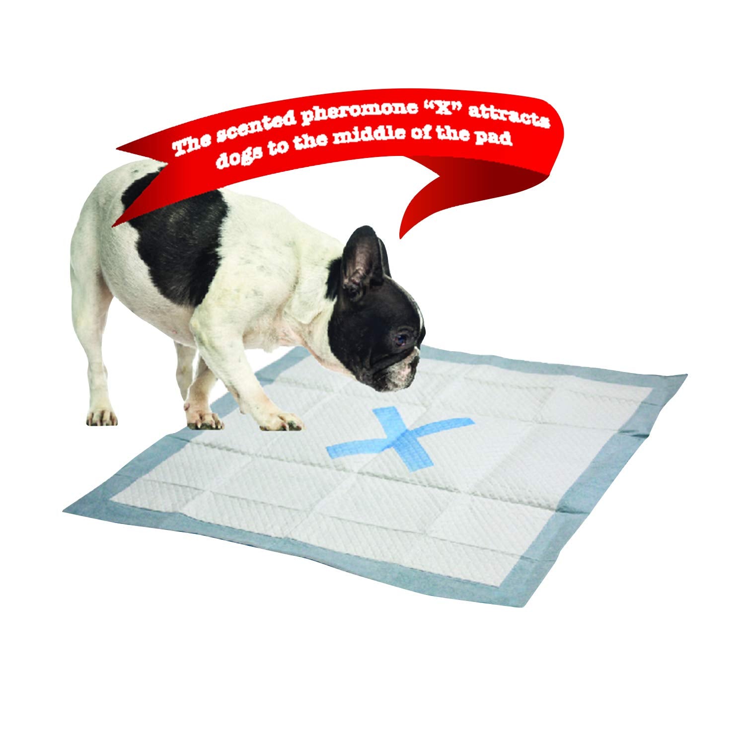 Spot X Marks The Super Absorbent Pee Pads | Puppy Pads | Puppy Pads With Adhesive | Training Pads | Dog Pads | Dog Pee Pads | Dog Potty Pads | Adhesive Strips | 22'X22' | 50 Ct