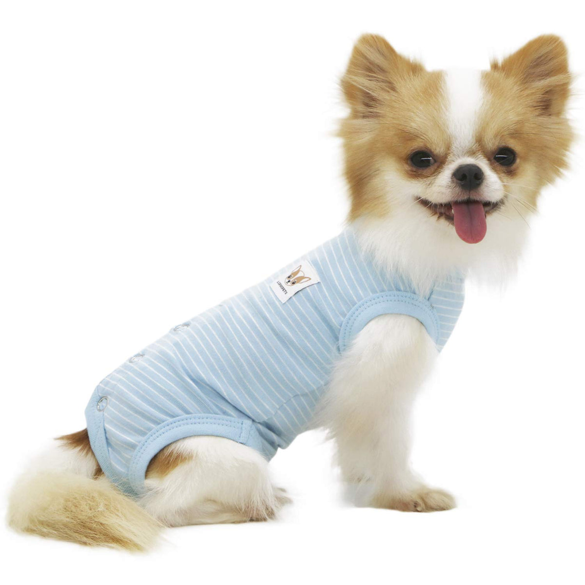 Lophipets Girl Dog Shirts Recovery Suit Pajamas For Bichon Fox Terrier Shih Tzu-Cambridge Blue Strips/Xl