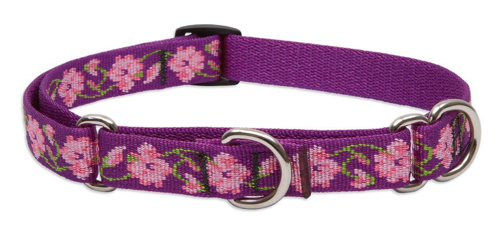 Lupinepet Originals 3/4' Rose Garden 10-14' Martingale Collar For Small Dogs