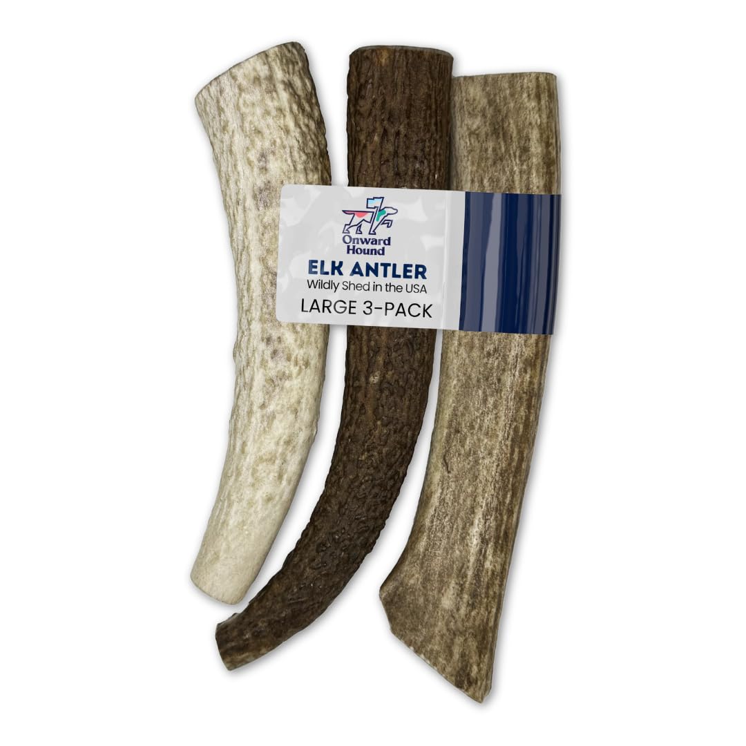 Onward Hound Elk Antlers for Dogs, 7+ Large 3-Pack, Grade A Long Lasting Chew for Aggressive Chewers, Premium USA Naturally Shed