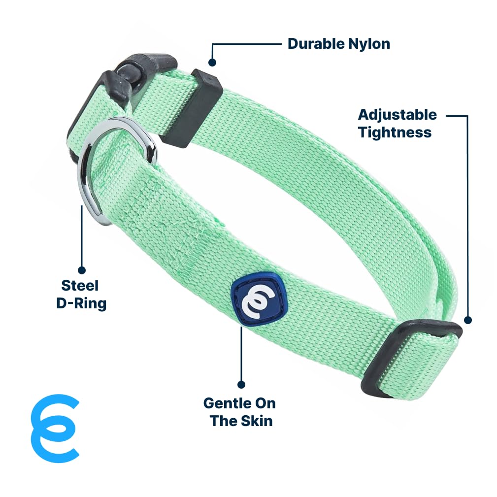 Blueberry Pet Essentials Matching Large Dog Collar | Adjustable Classic Solid Color Nylon Dog Collars For Large Dogs | Pastel Gr