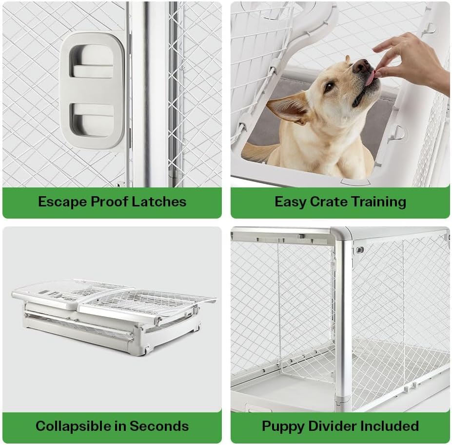 Diggs Revol Collapsible Dog Crate With Wheels - Premium Portable Dog Crate - Safe, Stylish, And Convenient Indoor Kennel (Ash, I