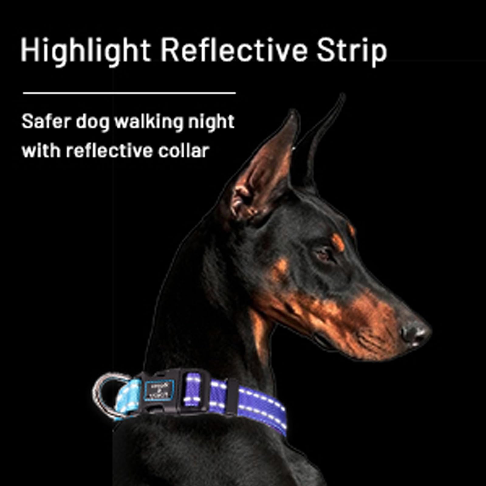 Roses&Poetry Reflective Dog Collar With Gradient Violet, Adjustable Durable Pet Collars For Small Medium Large Dogs (Violet-L)