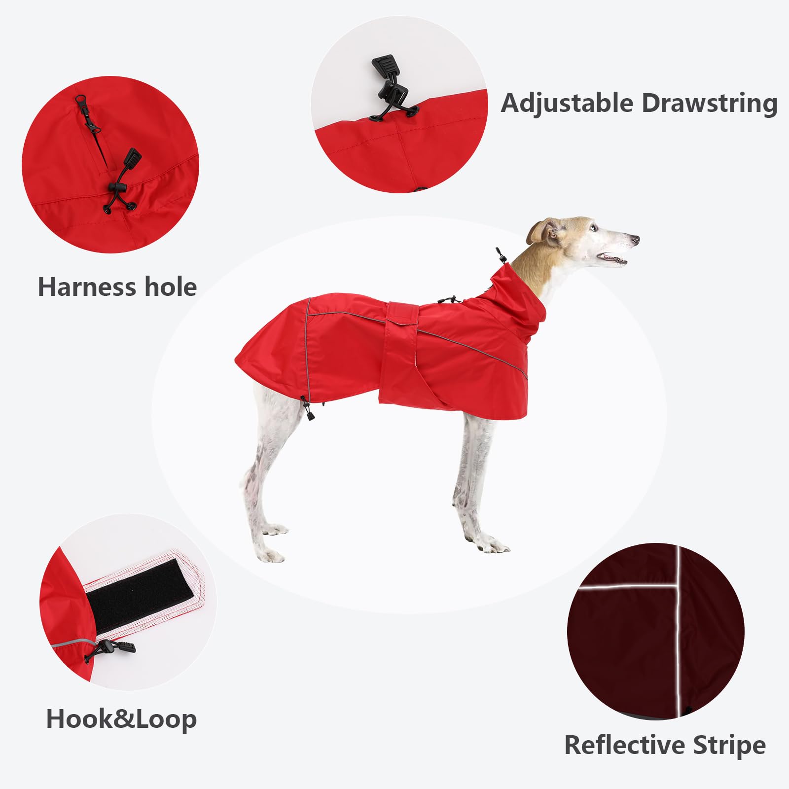 Greyhound Lurcher Raincoat, Whippet Rain Gear With Reflective Bar, Rain/Waterproof, Adjustable Bands And Drawstring In Autumn And Winter - Red - Xlarge