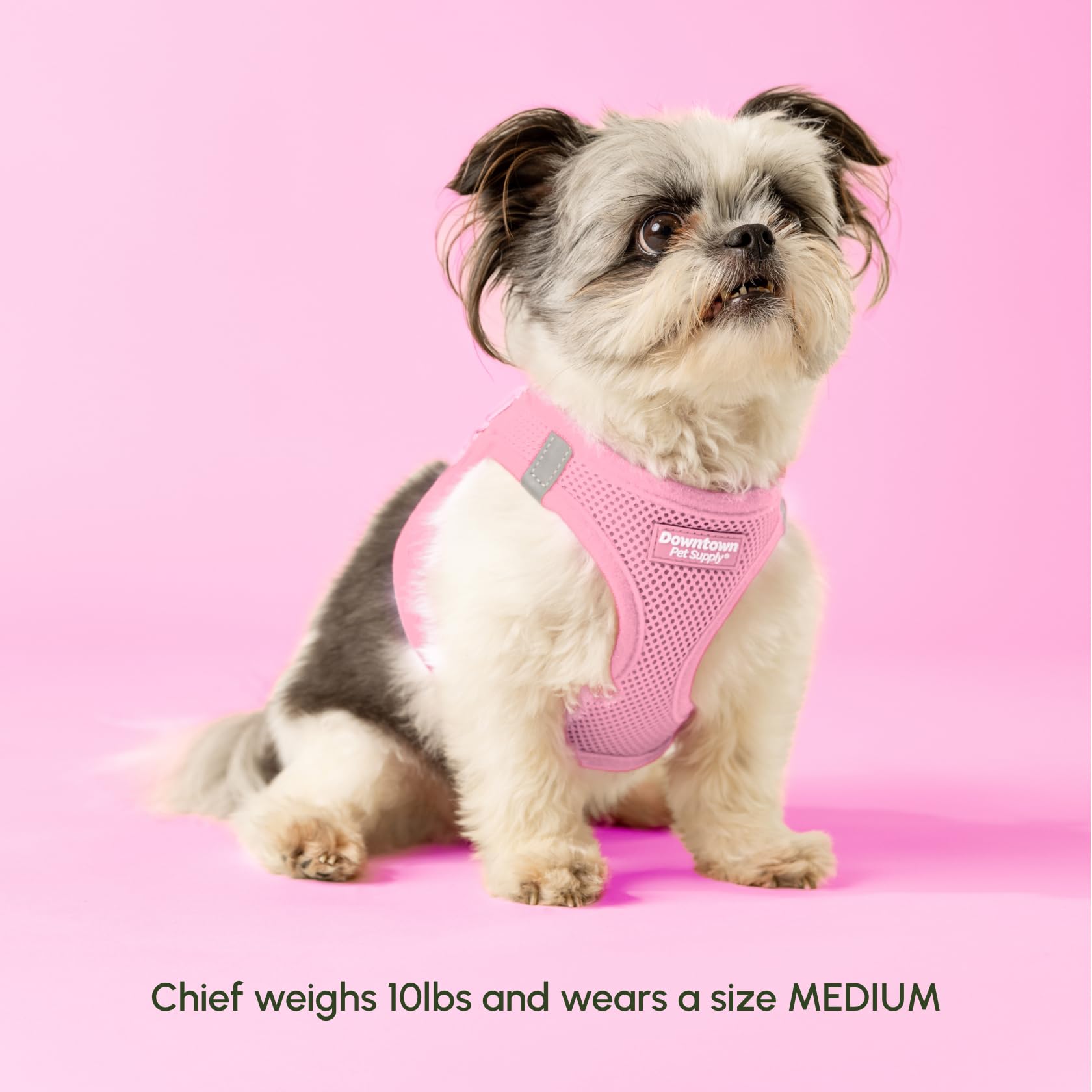 Downtown Pet Supply Step In Dog Harness For Small Dogs - Adjustable, Escape Proof Dog Harness With Reflective Trim - All-Weather