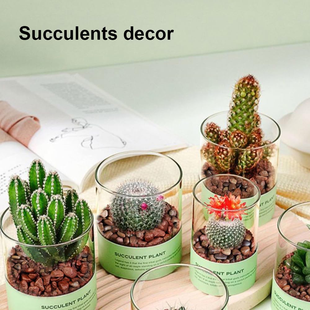 HappyFiller Small Red River Rocks Decorative Pebbles Natural Aquarium Gravel Stones for Fish Turtle Tank,Soil Cover,Indoor Outdo