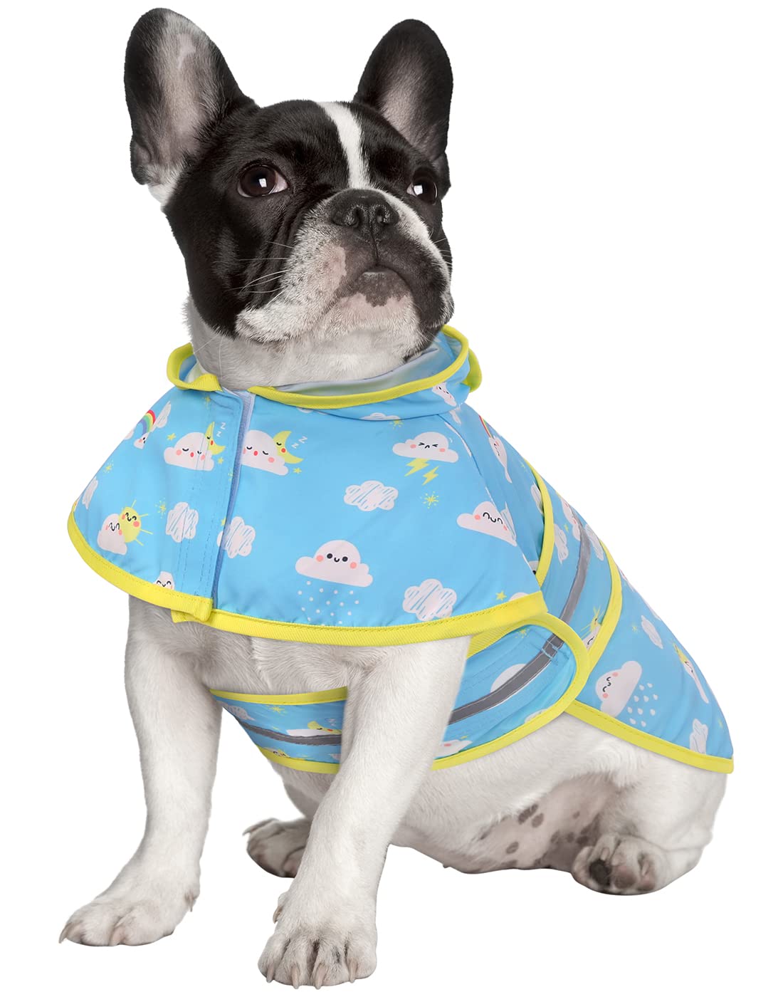 Hde Dog Raincoat Hooded Slicker Poncho For Small To X-Large Dogs And Puppies Cartoon Storm - M