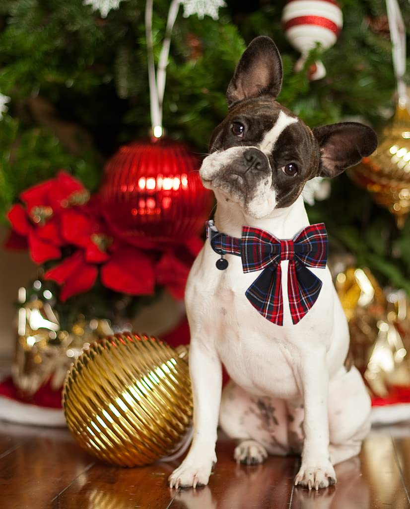 Dogwong Cotton Dog Collar With Bowtie, Stylish Christmas Dog Bow Red Plaid Dog Collar Adjustable Puppy Necklace For Small And Me