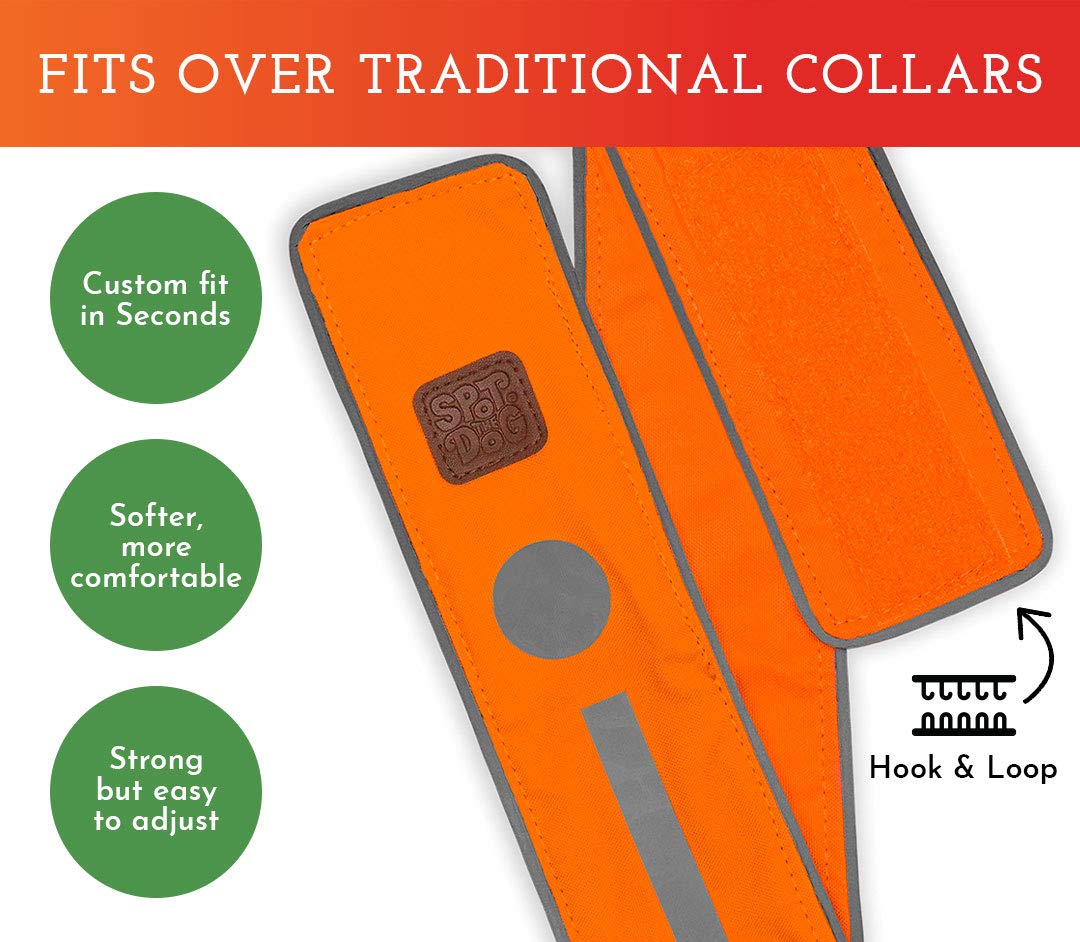 Spot The Dog! Reflective Dog Collar - Adjustable Pet Collars, Safe, Durable, Comfortable Dog Walking Accessories For Small Dog, Hunting Dog, Puppy, Lightweight Boy, Girl Dog Collars (Blaze Orange, S)
