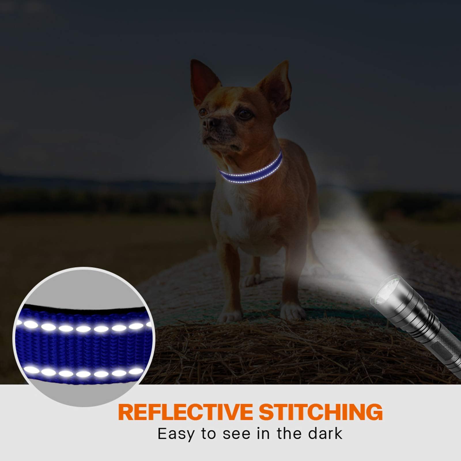 Taglory Reflective Dog Collar With Safety Locking Buckle, Adjustable Nylon Pet Collars For Puppy Dogs, Xs, Navy Blue