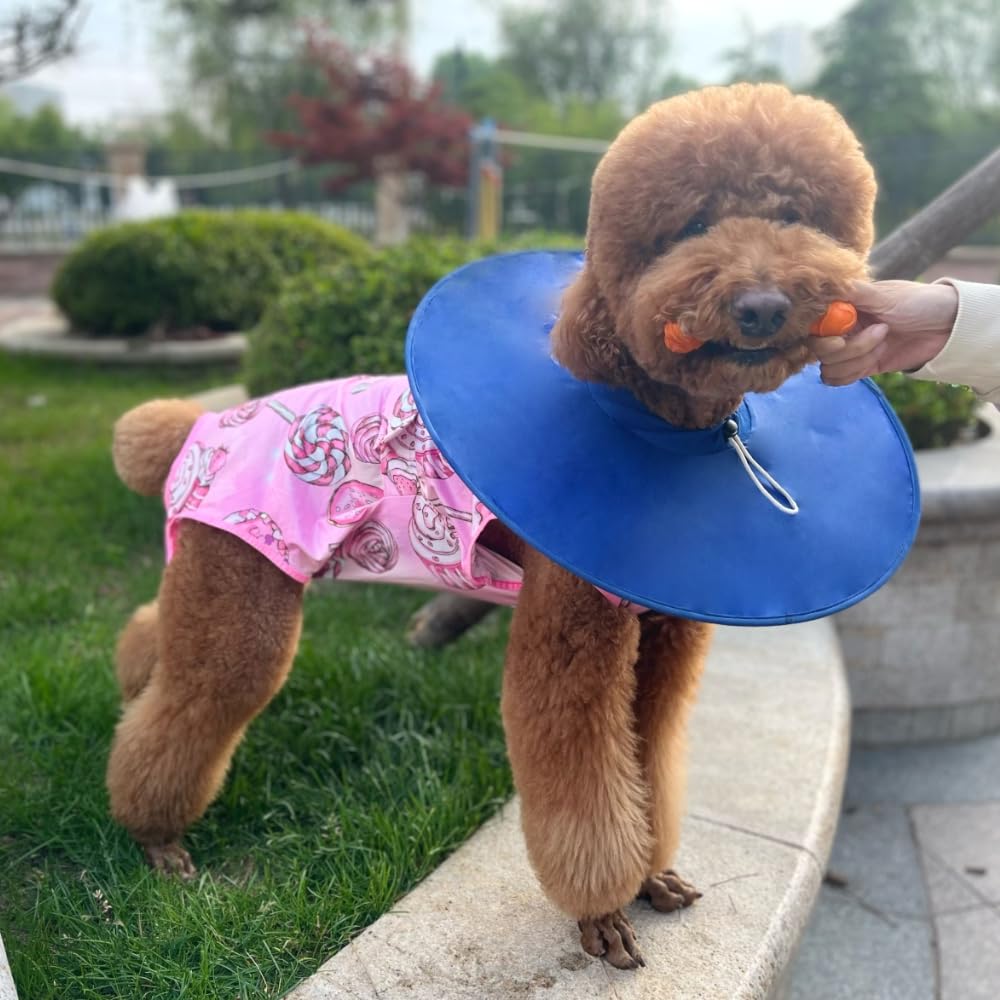 Xqpetlihai Recovery Suit for Dogs Dog Surgery Recovery Suit Female Dog Recovery Suit After Surgery Dog Surgery Recovery Suit(SW-
