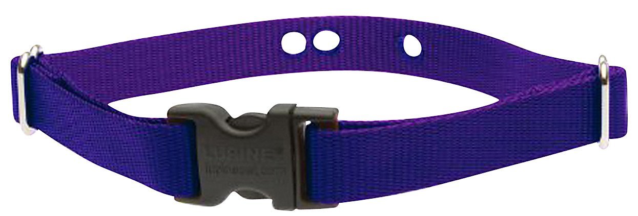 Lupinepet Basics 3/4' Purple 12-17' Containment Collar Strap For Small To Medium Dogs