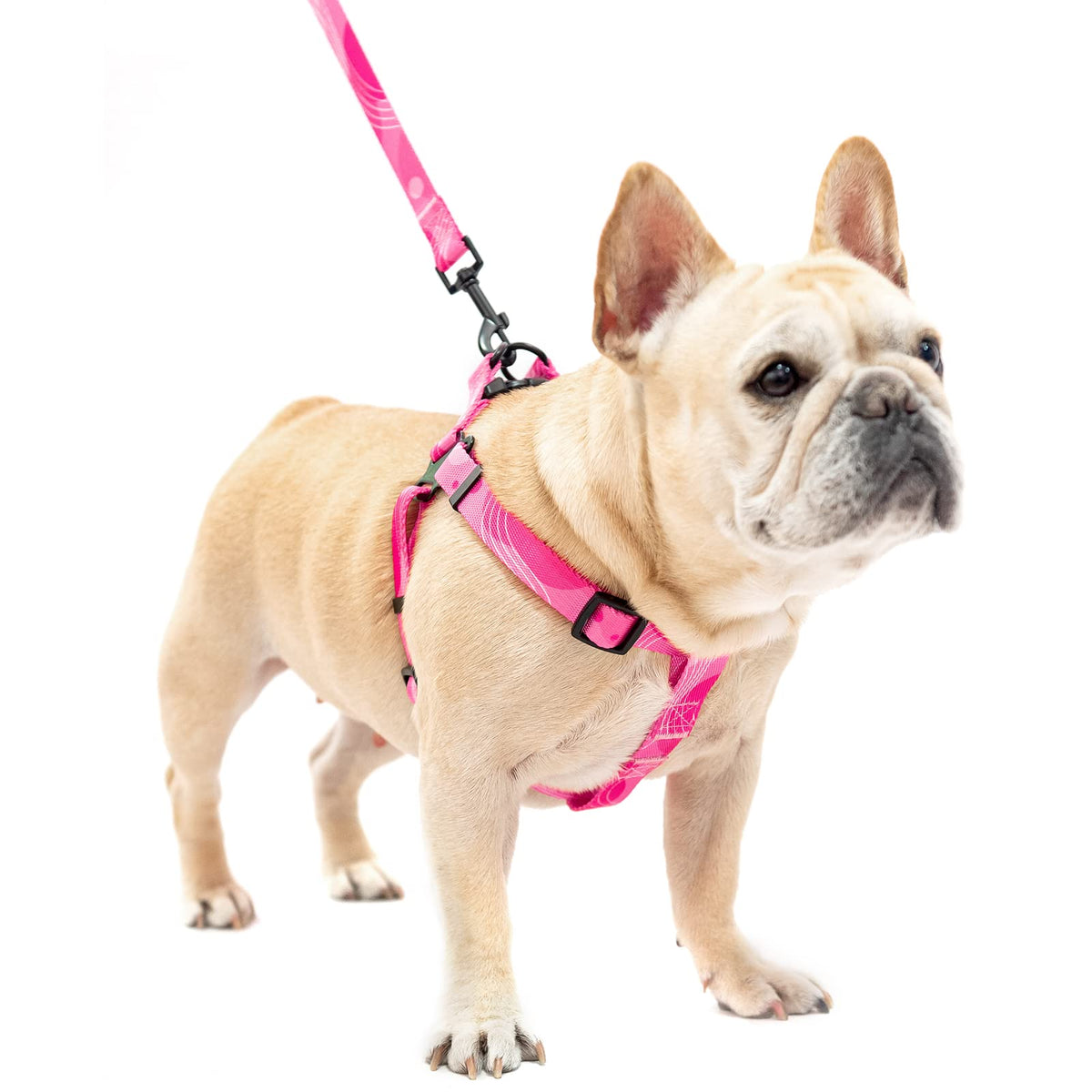 Pupteck Dog Harness And Leash Set No Pull Step In Soft Adjustable Pet Harnesses For Small Medium Dogs Outdoor Walking Training, Pink M