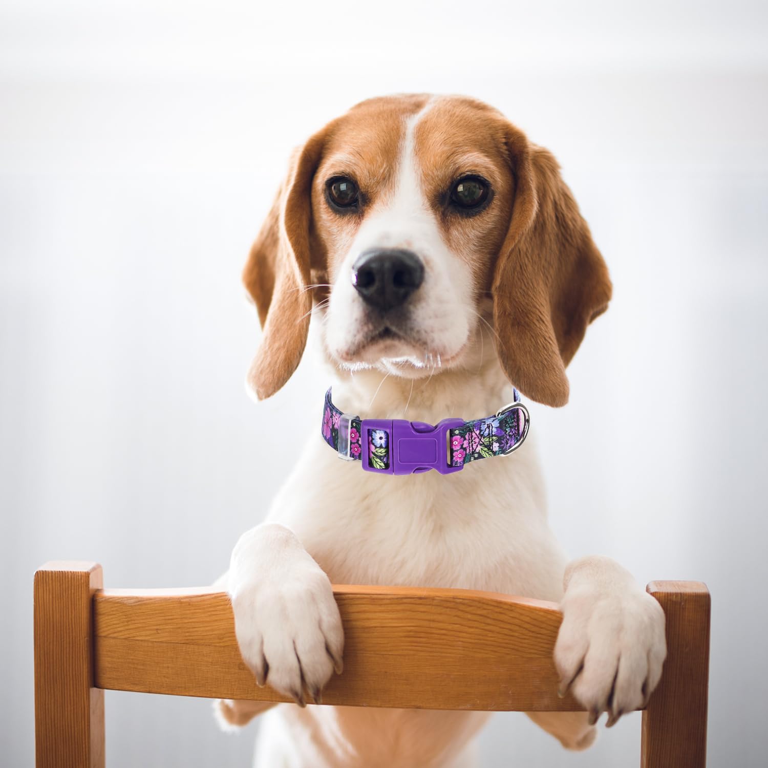 Purple Dog Collars For Large Dogs,Cute Girl Dog Collar With Boho Flowers Patterns,Adjustable Comfy Soft Durable Pet Cat Collar F