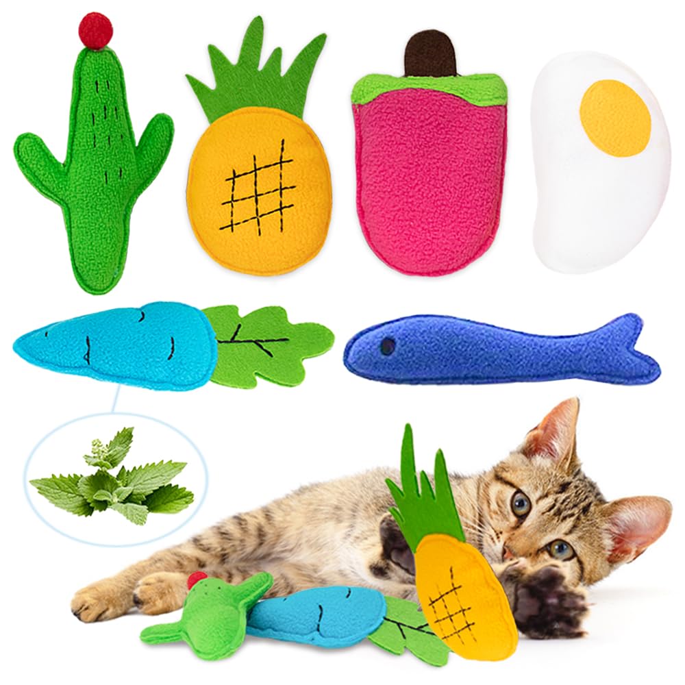Awoof Catnip Toys For Indoor Cats, Natural Catnip Kitten Toys Cat Toys Set