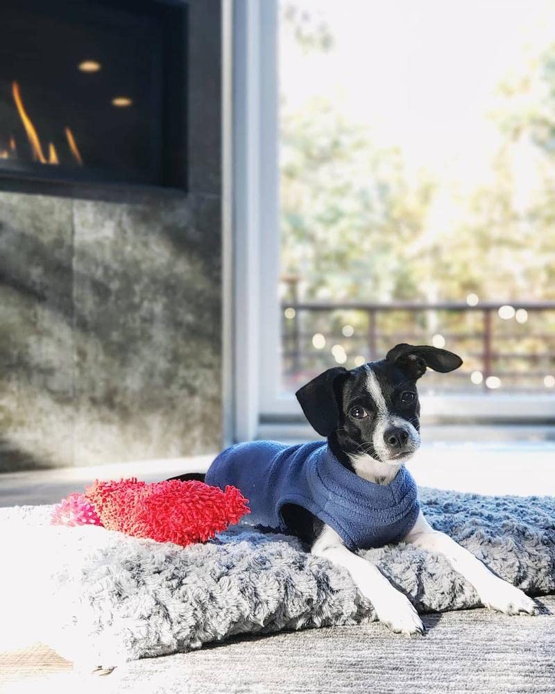Gooby Stretch Fleece Vest Dog Sweater - Indigo Blue, X-Large - Warm Pullover Fleece Dog Jacket - Winter Dog Clothes For Small Dogs Boy - Dog Sweaters For Small Dogs To Dog Sweaters For Large Dogs