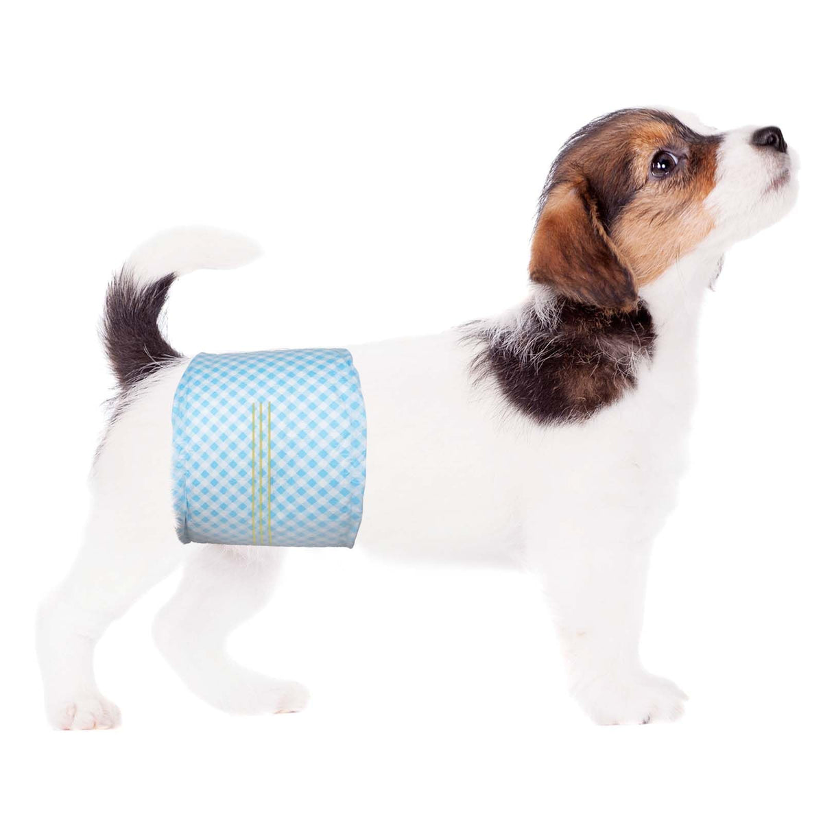 Disposable Belly Bands For Male Dogs,Puppy Diapers Male With Wetness Indicator, Super Absorbent Soft Male Dog Diapers (Xs, 20)