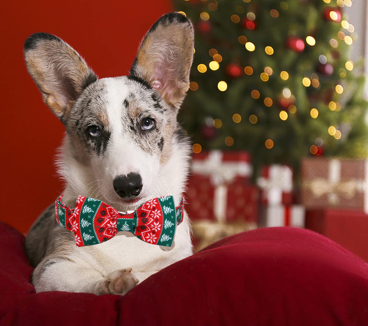 Dogwong Christmas Dog Collar With Bow Tie, Red Green Strip Snowflake Dog Collar Soft Durable Adjustable Cotton Puppy Collar For
