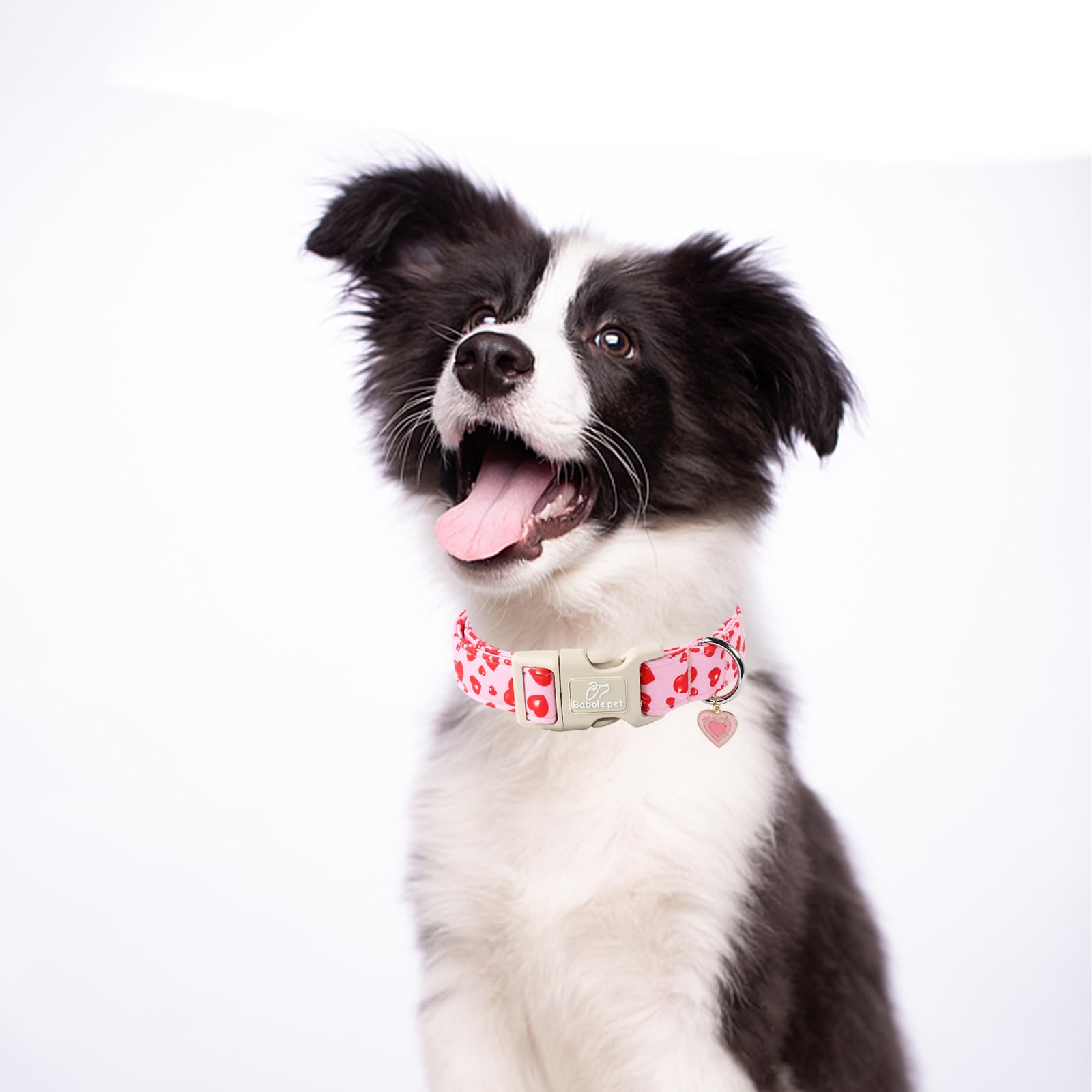 Babole Pet Valentines Dog Collar, Cute Pink Dog Collar with Red Heart Printed, Comfortable Girl Puppy Collar with Quick Release