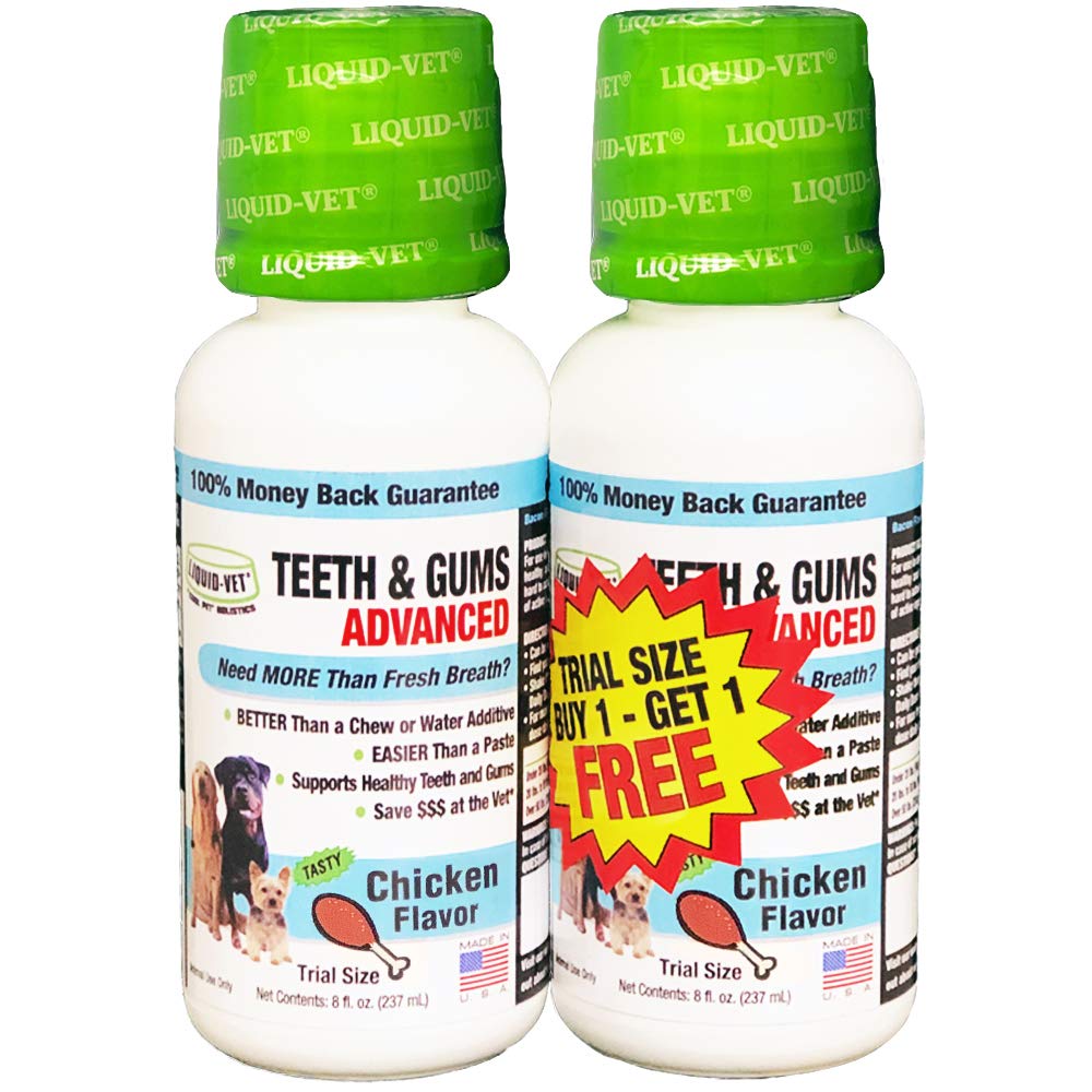 Liquid-Vet by COOL PET Holistics K9 Teeth & Gums Advanced Formula, Chicken Flavor, 8 oz BOGO Trial Pack, Clear