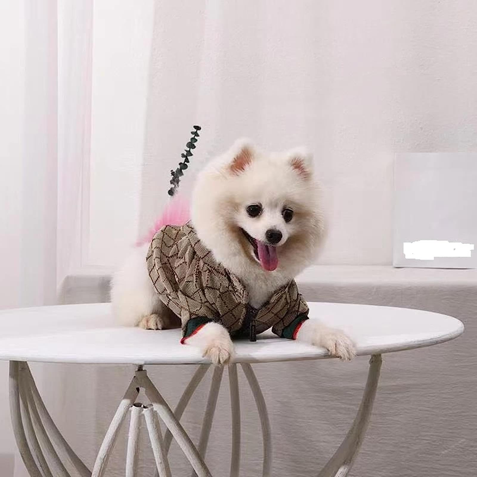 HQREA Dog Hoodie Luxury Winter Small Dog Jacket Clothes Classic Designer Warm Pet Coats Zipper Design Easy On/Off French Bulldog