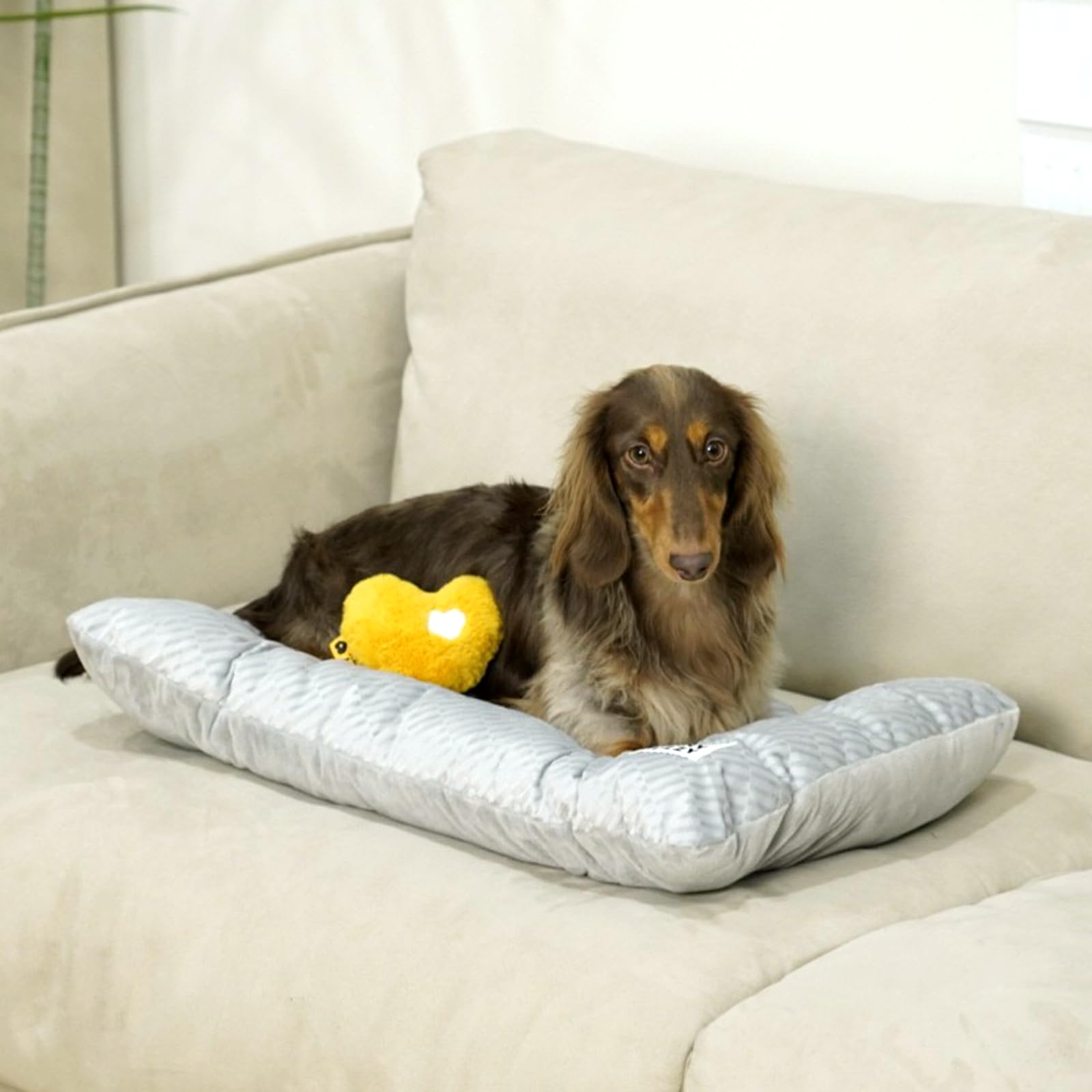 Funny Fuzzy 2 In 1 Dog Bed Crate Pad Mat, Washable Reversible Floor Pet Mats,Fluffy Kennel Pad For Small Large Sized Dog,Indoor