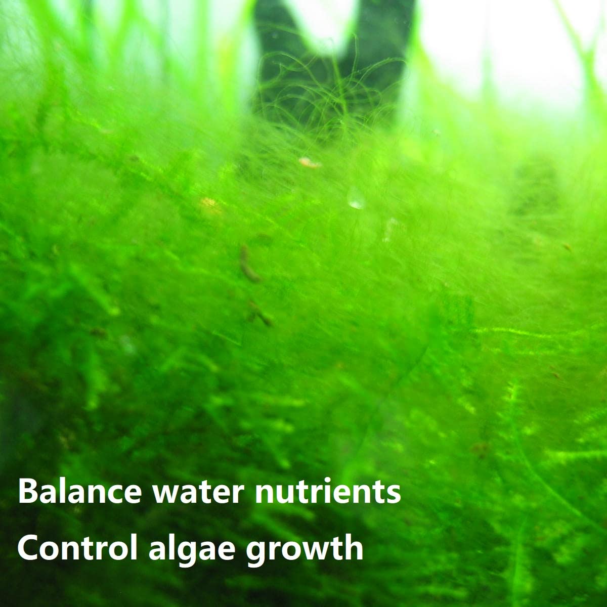 PuriResin Aquarium Filter Media, Organic Filtration Resin, for Freshwater and Saltwater Fish Tank, Removes Driftwood Tannins, 10