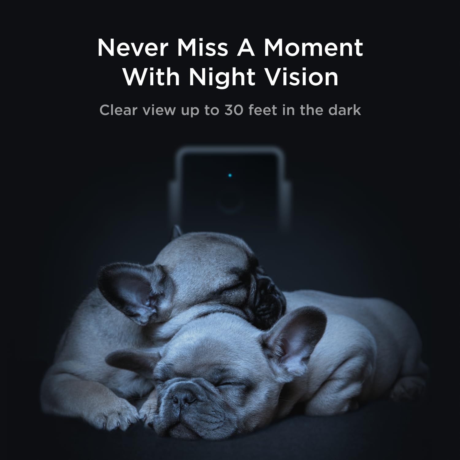 Petcube Cam The Pack Of 3 | Indoor Wi-Fi Pet Security Camera With Phone App, 2-Way Audio And Video, Night Vision, 1080P Hd Video