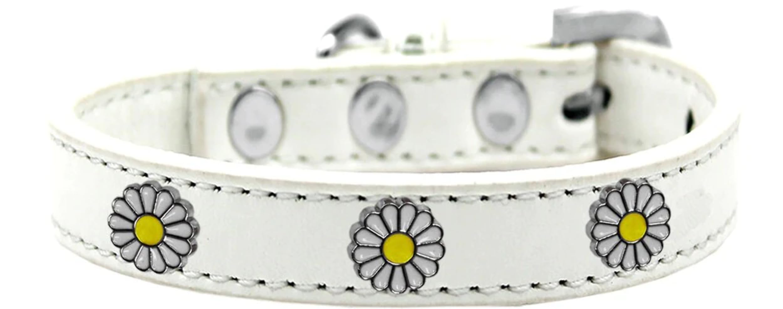 Dog, Puppy and Pet Widget Fashion Collar, &quot;White Daisies&quot; Aqua 18