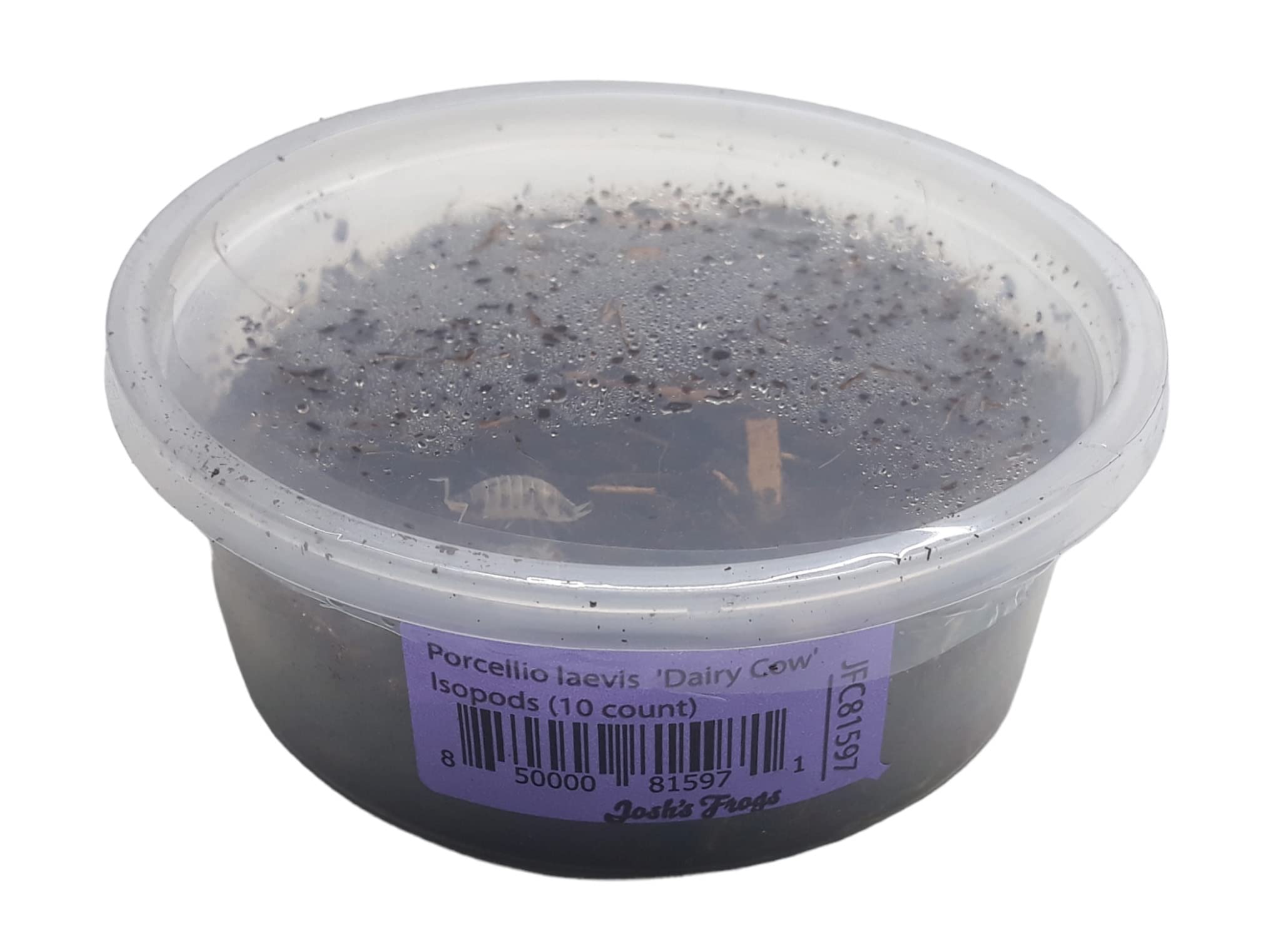 Josh'S Frogs Porcellio Laevis 'Dairy Cow' Isopods (10 Count)