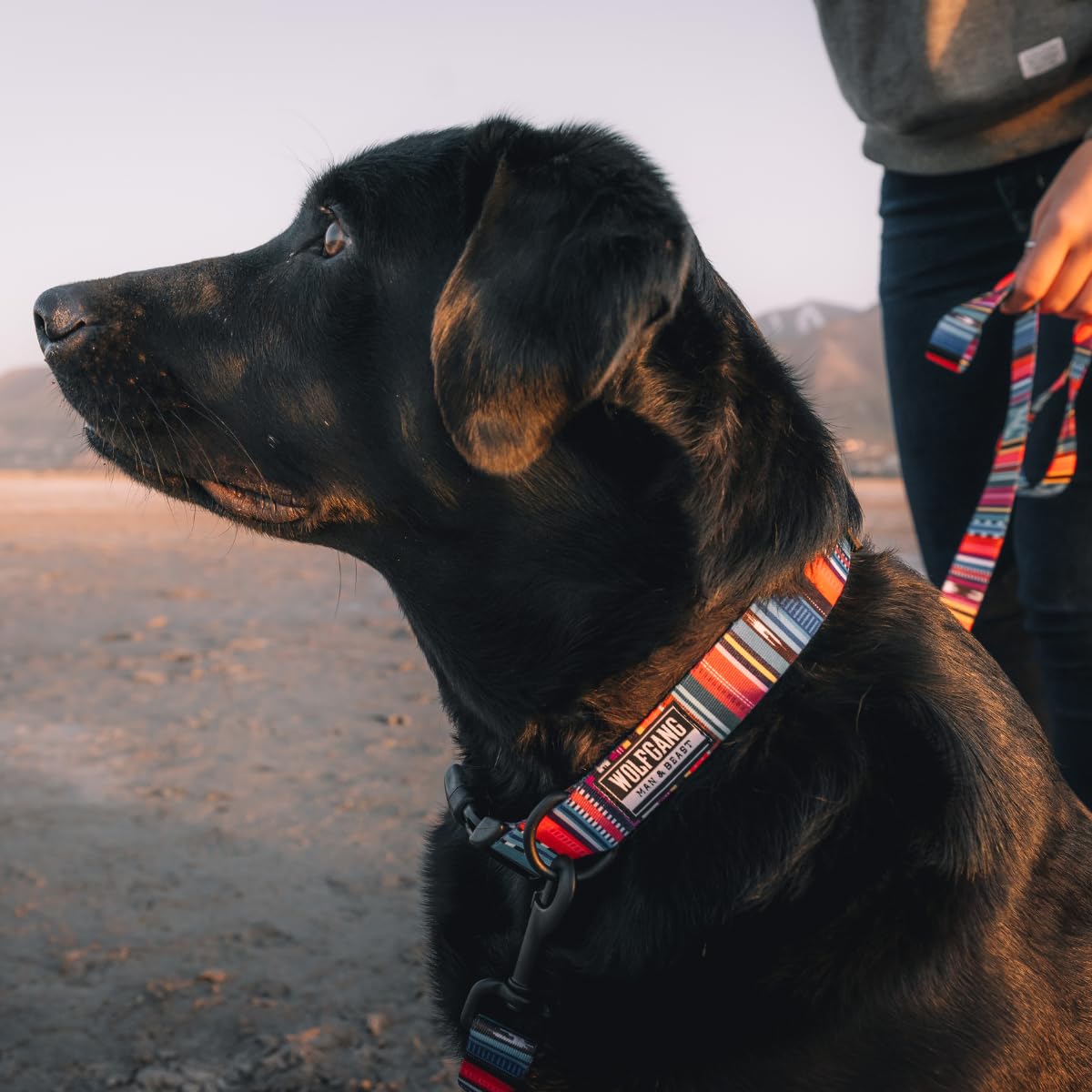 Wolfgang Heavy Duty Dog Leash - Pull-Tested 800 lbs, Small Size, Quetzal Print, Single Handle (5/8" x 4')